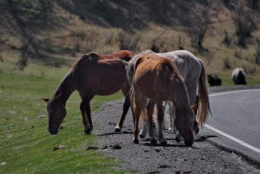 Similar image 22321693