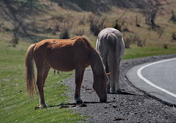 Similar image 22321694