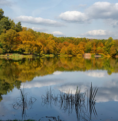 Similar image 22321706