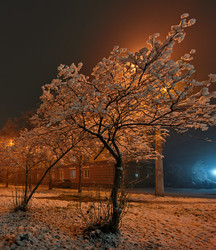 Similar image 22321712