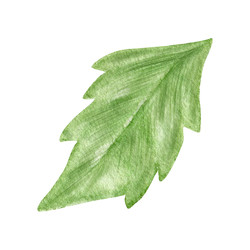 Similar image 22319860