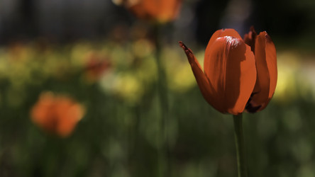 Similar image 22331559