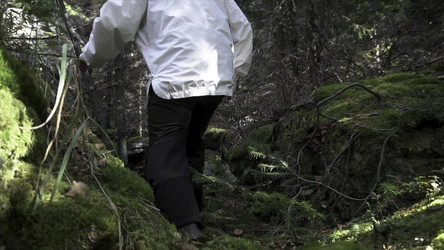 Similar image 22325722