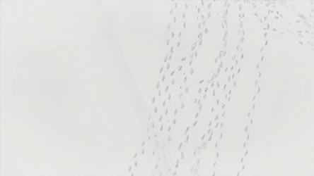 Similar image 22325739