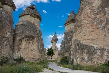 Similar image 22320164