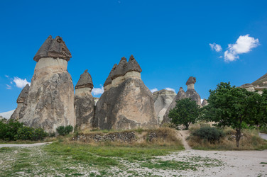 Similar image 22320165