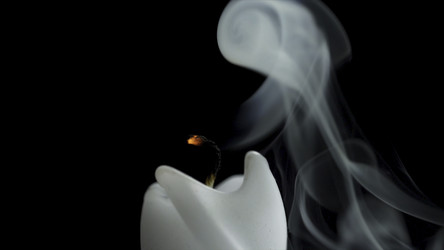 Similar image 22329911