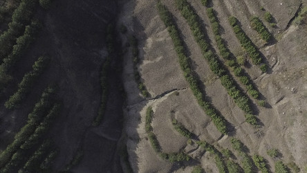 Similar image 22330215