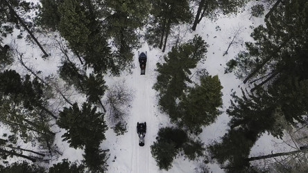 Similar image 22330664