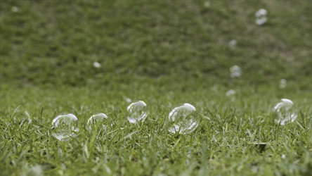 Similar image 22330665