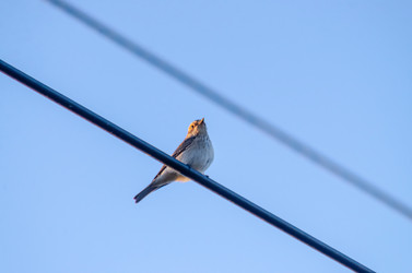 Similar image 22319867