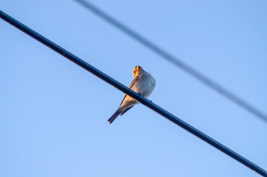 Similar image 22319868