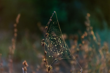 Similar image 22319869