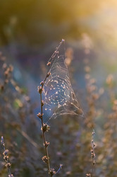 Similar image 22319870