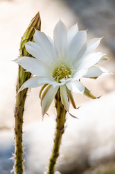 Similar image 22319875