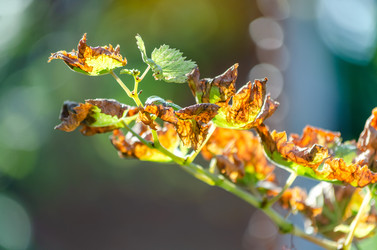 Similar image 22319876