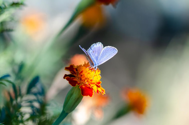 Similar image 22319877