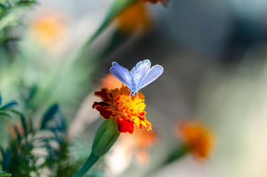 Similar image 22319878