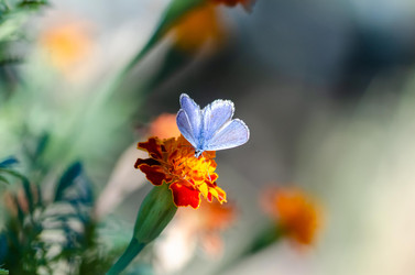 Similar image 22319879