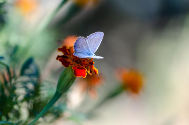 Similar image 22319880