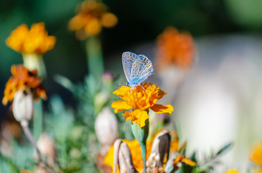 Similar image 22319881