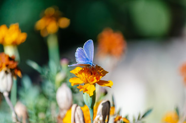 Similar image 22319882