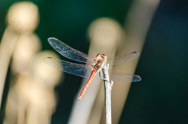 Similar image 22319883