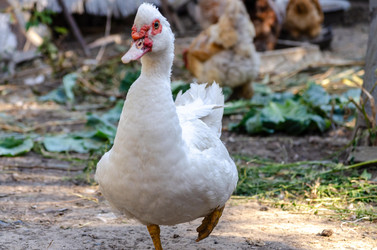 Similar image 22319886