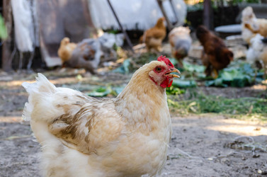 Similar image 22319887