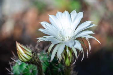 Similar image 22319889