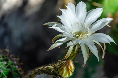 Similar image 22319890