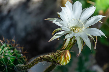 Similar image 22319891