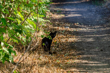 Similar image 22319892