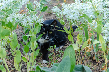 Similar image 22319893