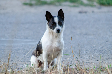 Similar image 22319899