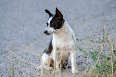 Similar image 22319900