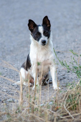 Similar image 22319901