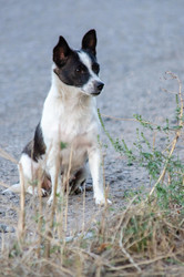 Similar image 22319902