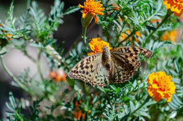 Similar image 22319904