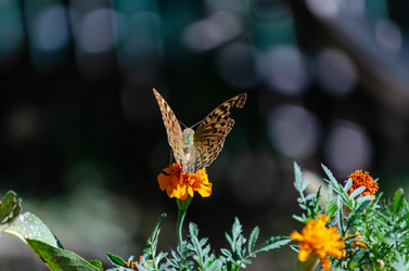 Similar image 22319905