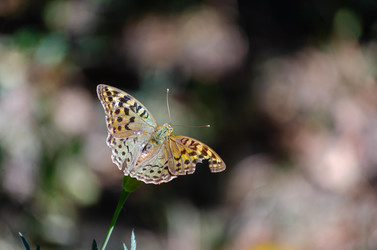 Similar image 22319906