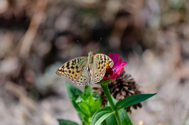 Similar image 22319907