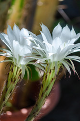 Similar image 22319908