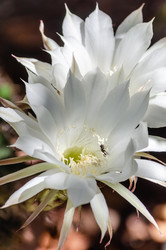 Similar image 22319909