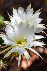 Similar image 22319910