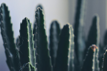 Similar image 22321064