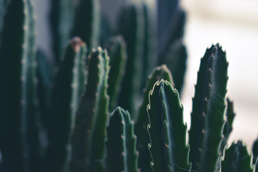 Similar image 22321065