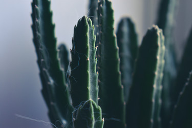 Similar image 22321066