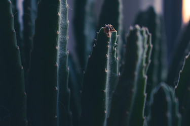 Similar image 22321067