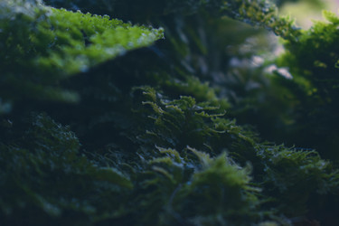 Similar image 22321068